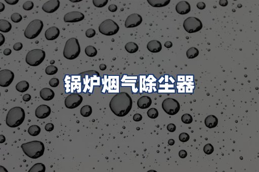 锅炉烟气除尘器