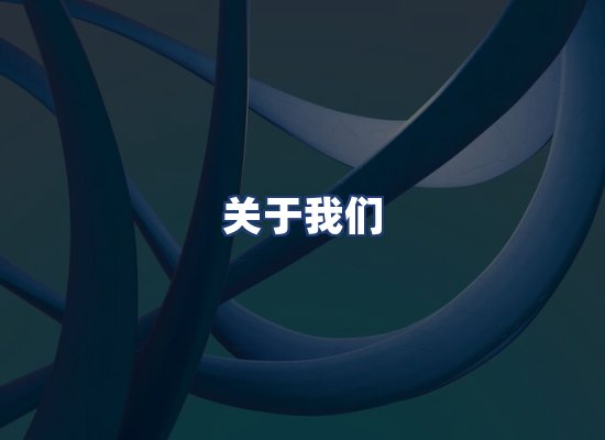关于我们