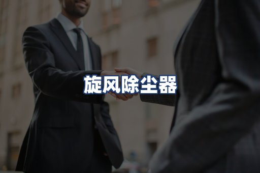 旋风除尘器